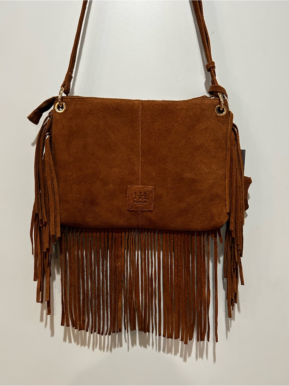 Suede Fringe Crossbody Bag in Brown